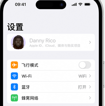 宁洱appleID维修服务iPhone设置中Apple ID显示为灰色无法使用 