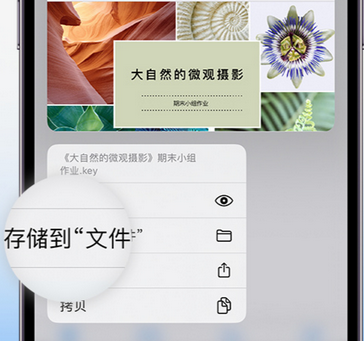 宁洱apple维修中心分享iPhone文件应用中存储和找到下载文件