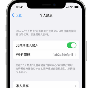 宁洱apple服务站点分享iPhone上个人热点丢失了怎么办 