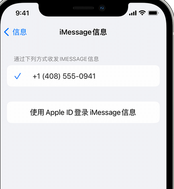 宁洱apple维修iPhone上无法正常发送iMessage信息 