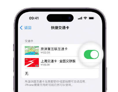 宁洱apple维修点分享iPhone上更换Apple Pay快捷交通卡手绘卡面 