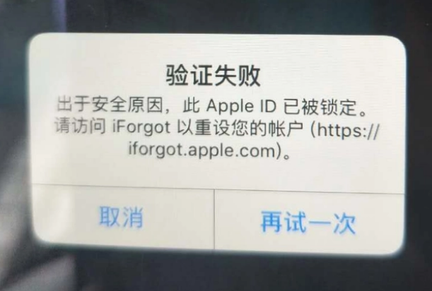 宁洱iPhone维修分享iPhone上正常登录或使用AppleID怎么办 