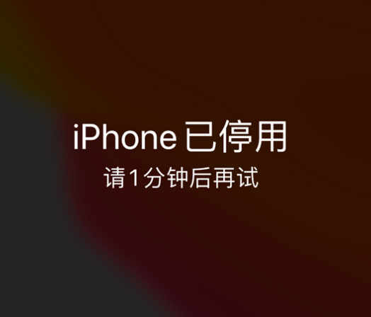 宁洱苹果手机维修分享:iPhone 显示“不可用”或“已停用”怎么办？还能保留数据吗？ 