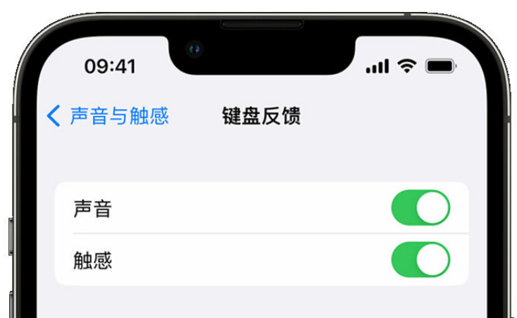 宁洱苹果手机维修分享iPhone 14触感键盘使用方法 