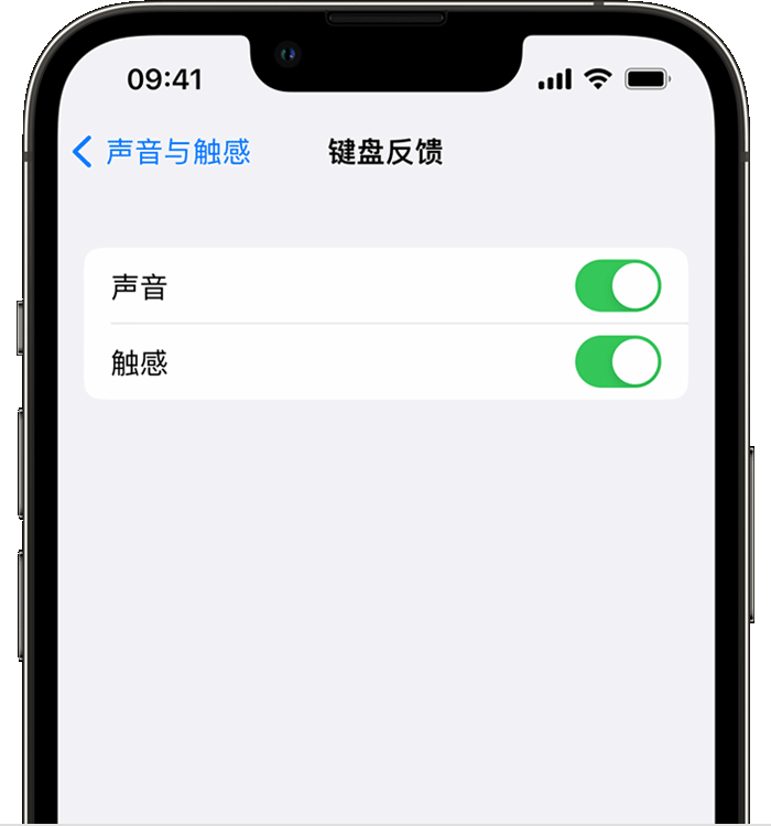 宁洱苹果14维修店分享如何在 iPhone 14 机型中使用触感键盘 