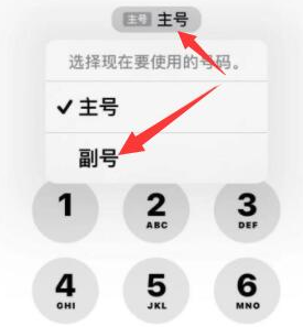 宁洱苹果14维修店分享iPhone 14 Pro Max使用副卡打电话的方法 