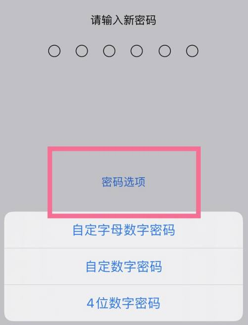 宁洱苹果14维修分享iPhone 14plus设置密码的方法 