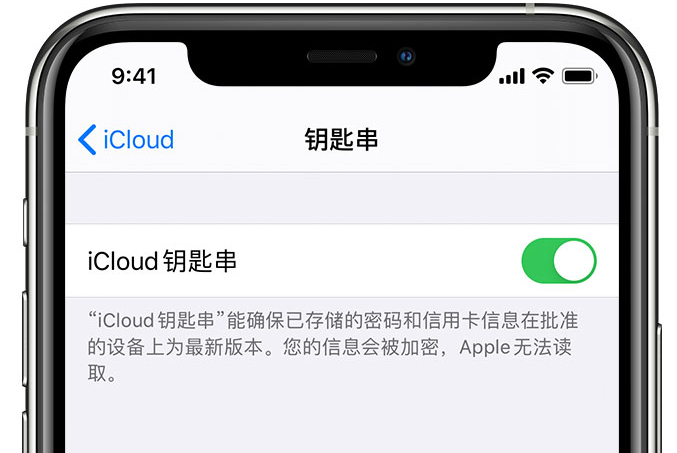 宁洱苹果手机维修分享在 iPhone 上开启 iCloud 钥匙串之后会储存哪些信息 