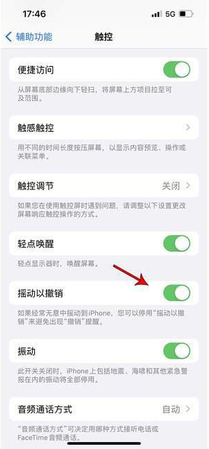 宁洱苹果手机维修分享iPhone手机如何设置摇一摇删除文字 